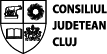 logo Consiliul Judetean